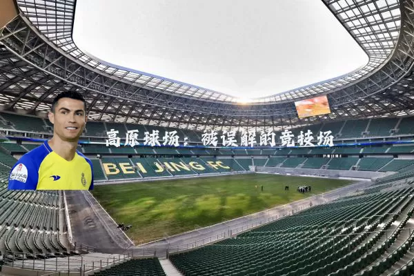 高原球场：被误解的竞技场